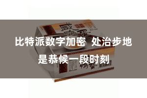 比特派数字加密 处治步地是恭候一段时刻