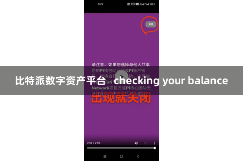 比特派数字资产平台   checking your balance