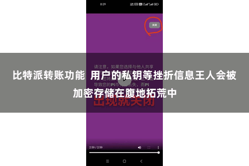比特派转账功能  用户的私钥等挫折信息王人会被加密存储在腹地拓荒中