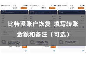 比特派账户恢复  填写转账金额和备注（可选）