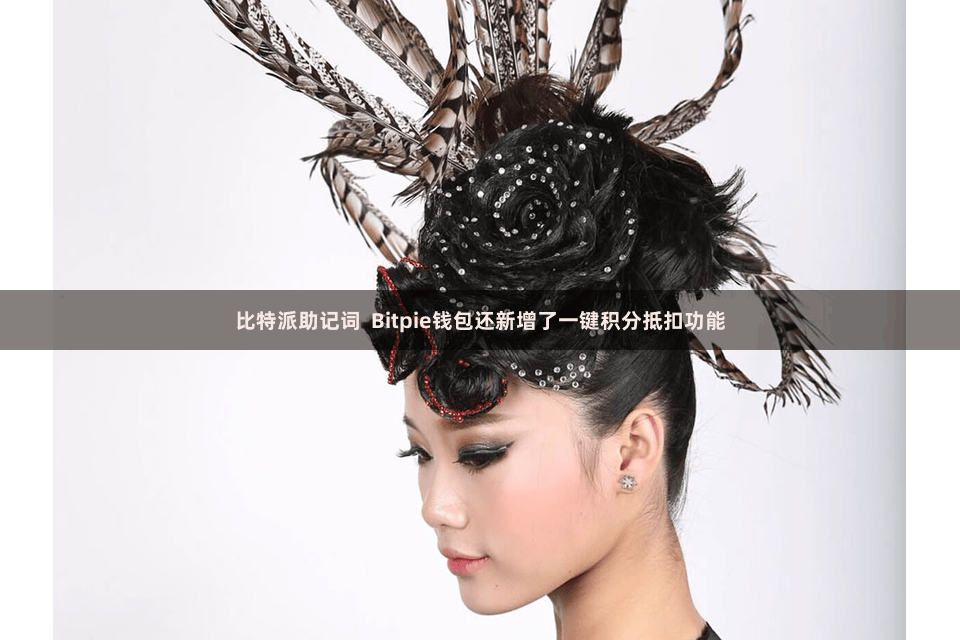 比特派助记词  Bitpie钱包还新增了一键积分抵扣功能