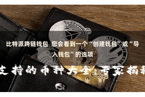 比特派跨链钱包  您会看到一个“创建钱包”或“导入钱包”的选项