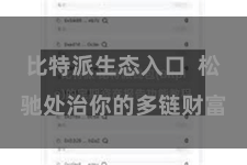 比特派生态入口  松驰处治你的多链财富