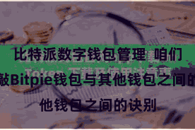 比特派数字钱包管理  咱们将推敲Bitpie钱包与其他钱包之间的诀别