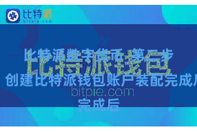 比特派数字货币  第二步：创建比特派钱包账户装配完成后